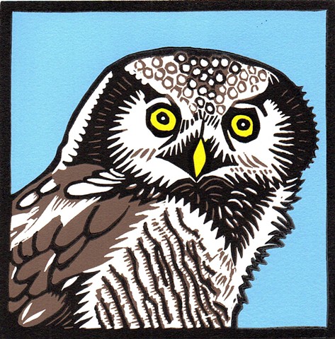 bird art, owl art, northern hawk owl art, bird linocut, owl linocut, northern hawk linocut, reduction linocut