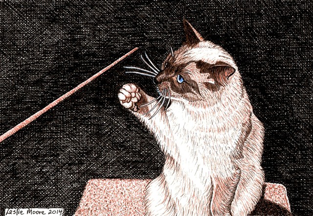 a colored pen and ink drawing of a Siamese cat by Leslie Moore of PenPets