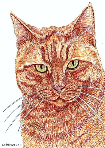 A colored pen and ink drawing of a marmalade tiger-striped cat. 