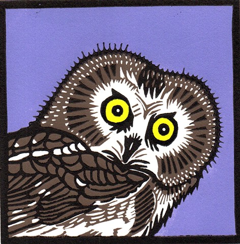 bird art, owl art, northern saw-whet owl art, bird linocut, owl linocut, northern saw-whet owl linocut, reduction linocut
