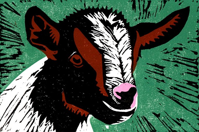 a four-color linocut of a kid or a baby goat by Leslie Moore of PenPets