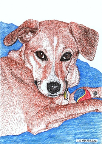 A colored pen and ink drawing of a Whippet/hound mixed breed dog by Leslie Moore.