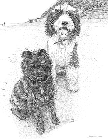 A pen and ink drawing of two dogs on a San Francisco beach -- a Schnoodle (Schnauzer/poodle mix)  & a Sheepadoodle (Old English Sheepdog/poodle mix) by Leslie Moore