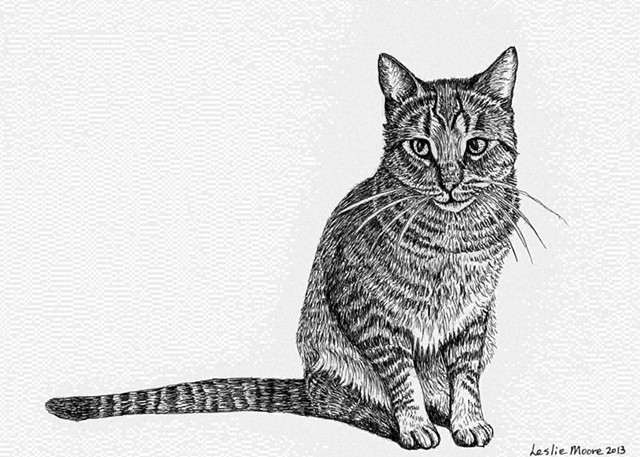 a tiger-striped cat in pen-and-ink by Leslie Moore of PenPets