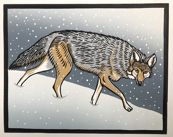 coyote, coyote in snow, linocut