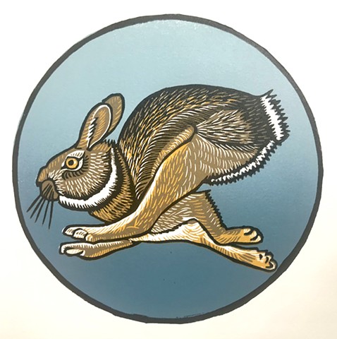 New England Cottontail, rabbit, rabbit running, run rabbit run, linocut