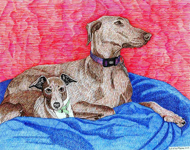 a colored pen and ink drawing of an Italian greyhound and a Doberman by Leslie Moore of PenPets