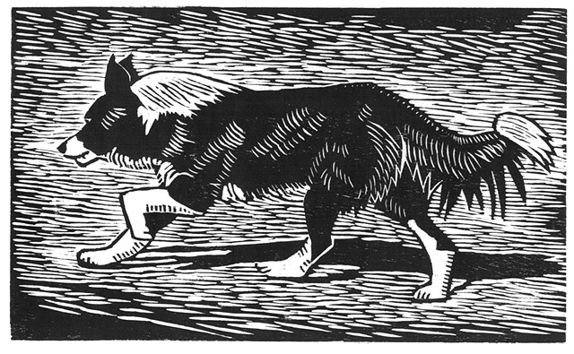 a woodcut of a border collie running by Leslie Moore of PenPets