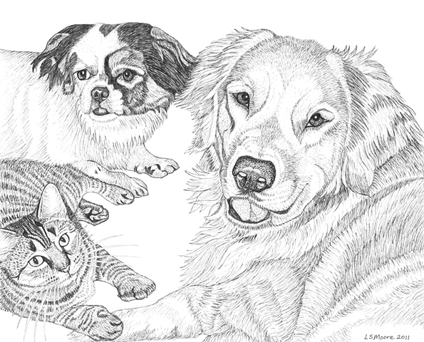 A pen and ink drawing of a Shih Tzu mixed breed dog, a tiger-striped cat, and a Golden Retriever by Leslie Moore