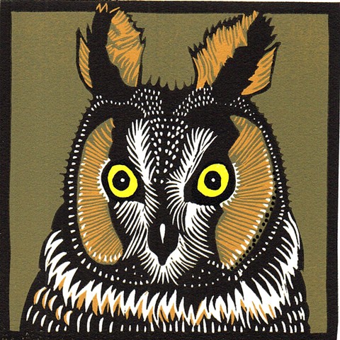 bird art, owl art, long-eared owl art, owl linocut, long-eared owl linocut, reduction linocut