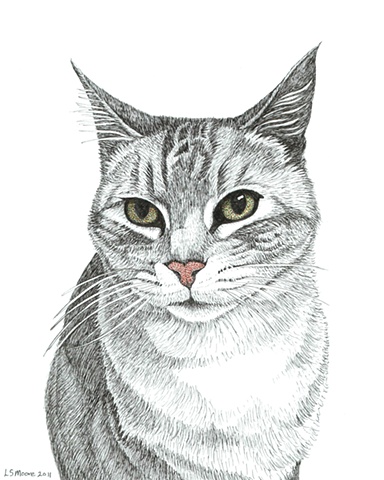 A colored pen and ink drawing of a grey, tiger-striped cat by Leslie Moore. 