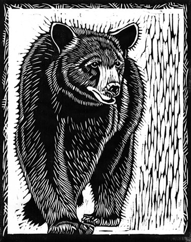 bear art, black bear woodcut, woodcut