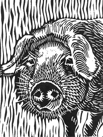 a woodcut of a young pig or shoat by Leslie Moore of PenPets