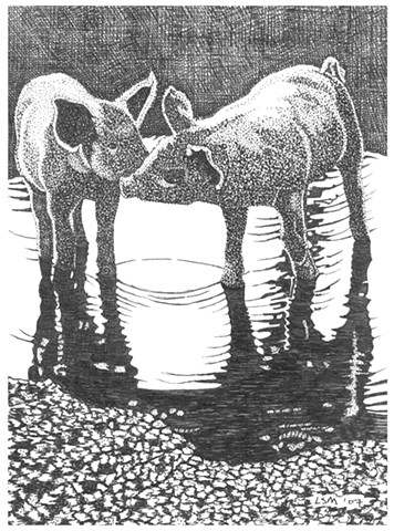 A pen and ink drawing of two piglets in a puddle by Leslie Moore of PenPets.