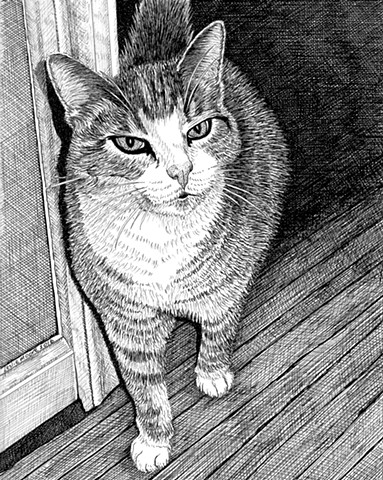 A pen and ink drawing of a tiger-striped grey cat by Leslie Moore of PenPets.