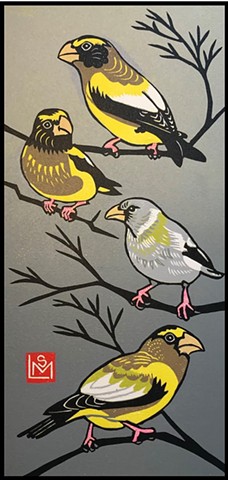 bird art, Evening grosbeak art, Evening grosbeak linocut, reduction linocut