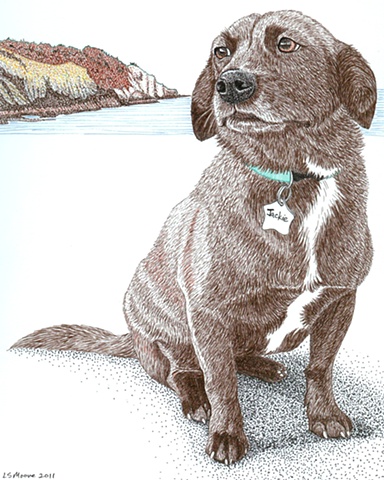 A colored pen and ink drawing of a Beagle/terrier/retriever mixed breed dog by Leslie Moore 