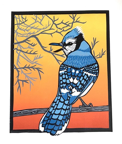 Blue jay, bird art, linocut