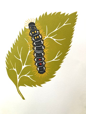 Brown-tail moth caterpillar, caterpillar, moth caterpillar, linocut