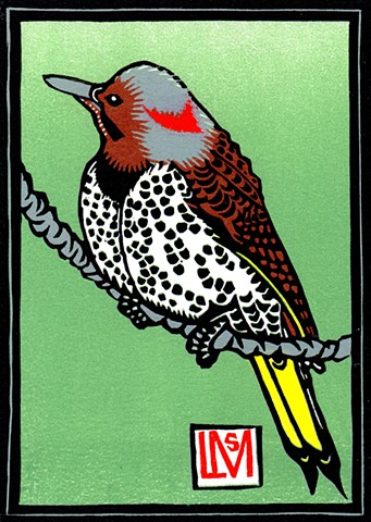 bird art, Yellow-Shafted Northern Flicker, flicker linocut, reduction linocut, bird relief print