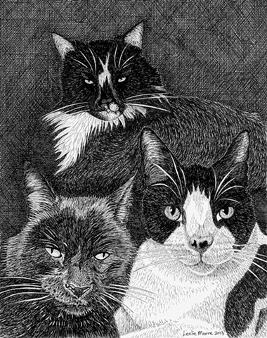 A pen and ink drawing of a three cats by Leslie Moore of PenPets.