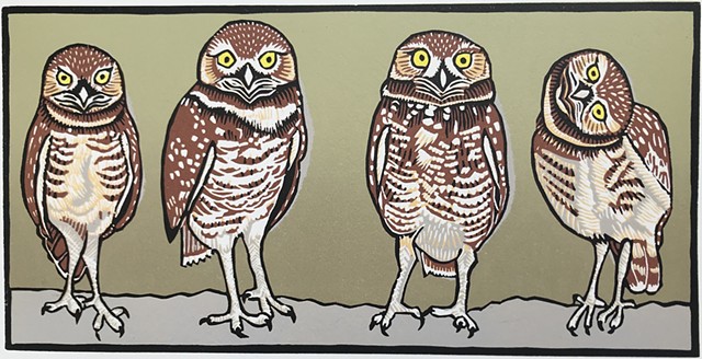 bird art, burrowing owls, linocut birds, owl art, reduction linocut
