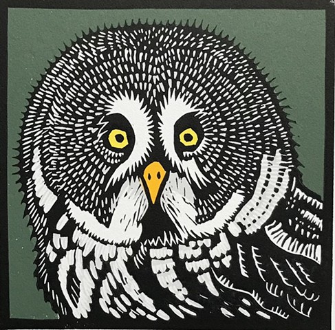 bird art, owl art, great gray owl art, owl linocut, great gray owl linocut, reduction linocut