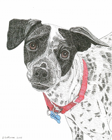 A colored pen and ink drawing of a black and white hound dog mix by Leslie Moore 