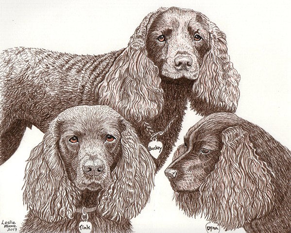 a colored pen and ink drawing of three American Water Spaniels by Leslie Moore of PenPets
