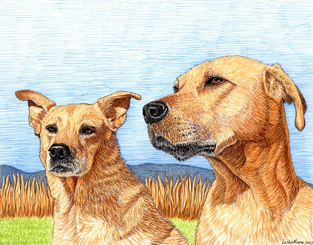 Ginger, a Carolina dog, & Oakley, a Rhodesian Ridgeback mix