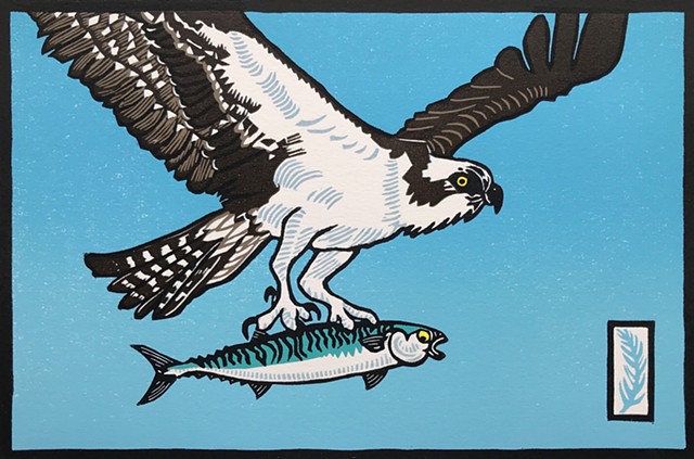 bird art, osprey with fish/mackerel, osprey linocut, osprey with mackerel, reduction linocut, raptor art