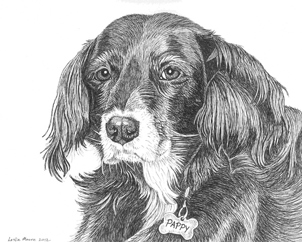A pen-and-ink drawing of a mixed-breed spaniel by Leslie Moore of PenPets