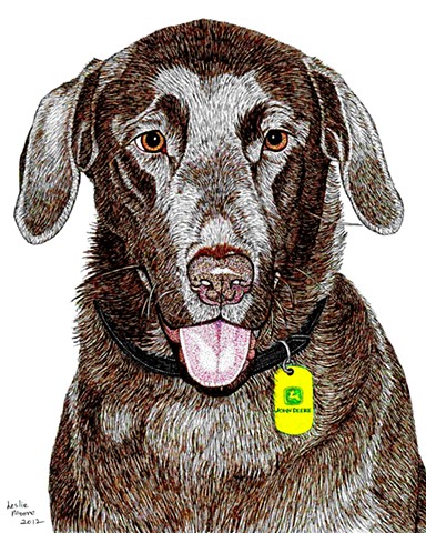 a colored pen and ink drawing of a chocolate Labrador retriever by Leslie Moore of PenPets