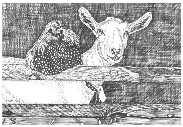 A pen and ink drawing of a chicken on a fence beside a goat by Leslie Moore of PenPets.