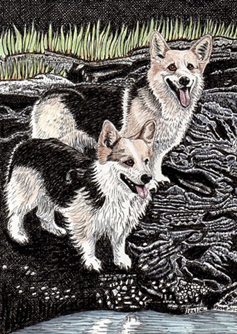a colored pen and ink and colored pencil drawing of two Pembroke Welsh Corgis on a granite Maine shore line by Leslie Moore of PenPets