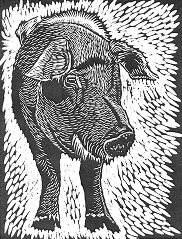 a woodcut of an enormous boar/pig by Leslie Moore of PenPets