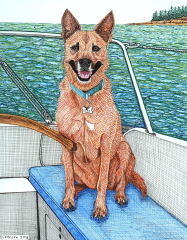 A colored pen and ink drawing of an American Dingo sitting at the helm of a sailboat in Maine by Leslie Moore