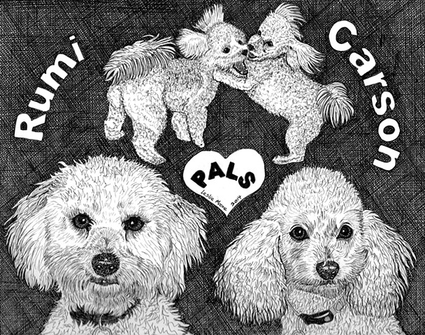 A pen and ink drawing of a Cockapoo and a Maltipoo by Leslie Moore of PenPets.
