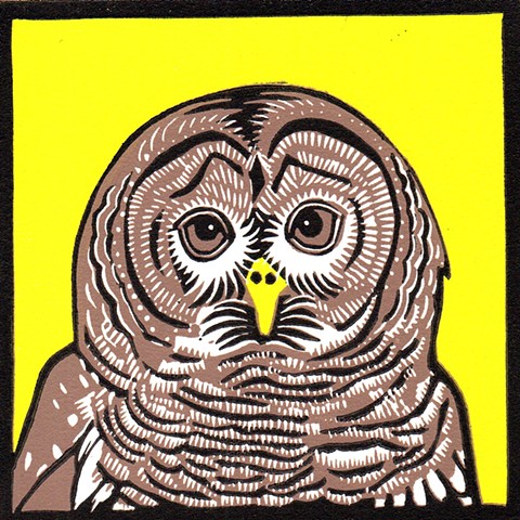 bird art, owl art, barred owl art, owl linocut, barred linocut, reduction linocut