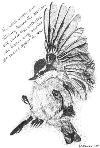 A pen and ink drawing of a dead nuthatch in the snow with a tanka poem by Leslie Moore of PenPets.
