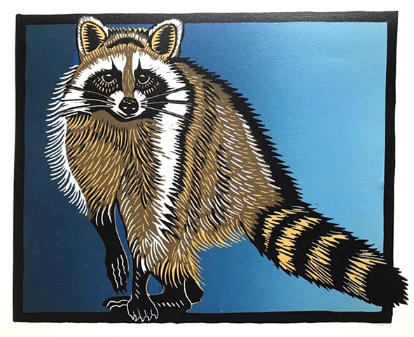 Raccoon, linocut