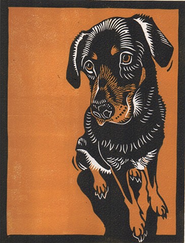 a reduction linocut of a Labrador/Rottweiler mixed breeddog  by Leslie Moore of PenPets