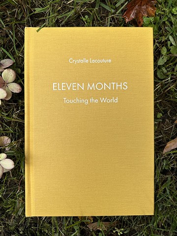 Eleven Months (Touching the World)