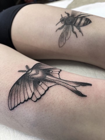 Moth & Bee tattoos by Kc Carew at Gold Standard Tattoo in Bend, Oregon