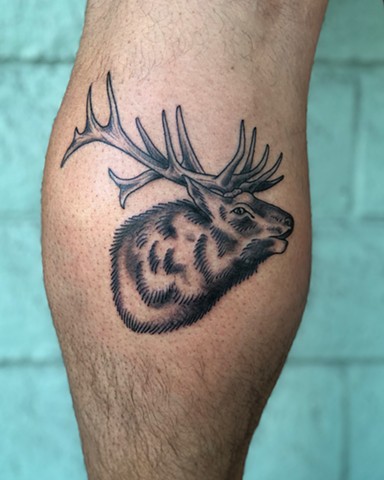 Elk tattoo by Kc Carew at Gold Standard Tattoo in Bend, Oregon
