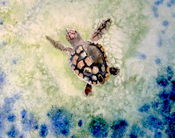 A loggerhead turtle makes her way in blue-green bubbling ocean waters.