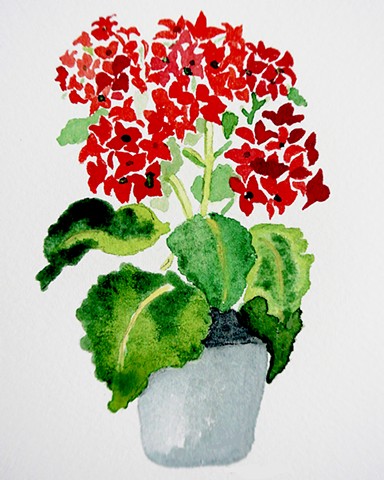 Bright red kalanchoe blossoms are flanked by green leaves in a terra cotta pot