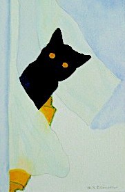 A black cat peers from behind a curtain.
