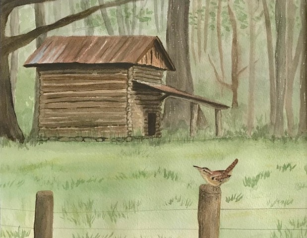 An old tobacco barn is the backdrop for a Carolina Wren sitting on a fence post