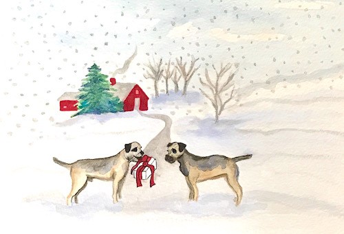 Two Border Terriers exchange Christmas gifts on a snowy day.